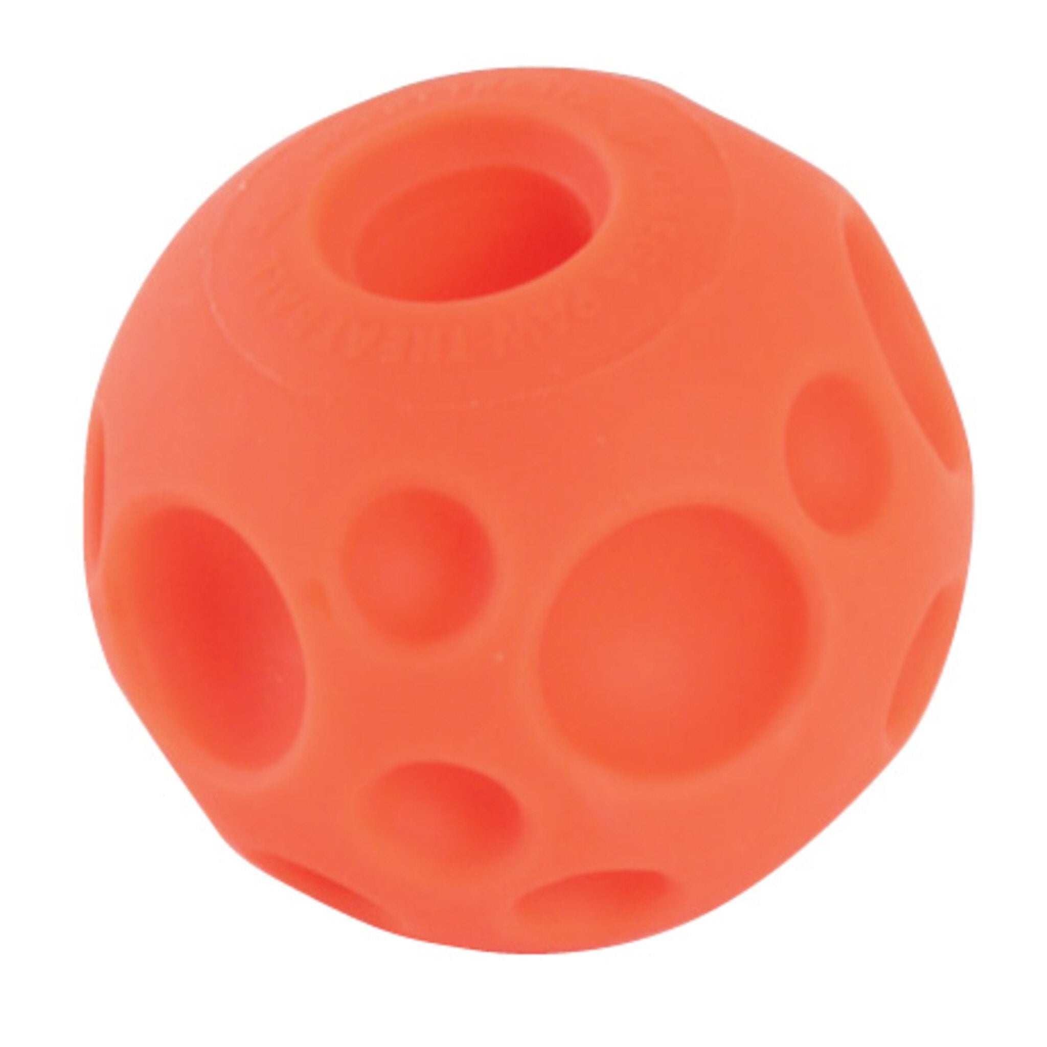 Omega Paw Treat Ball Medium
