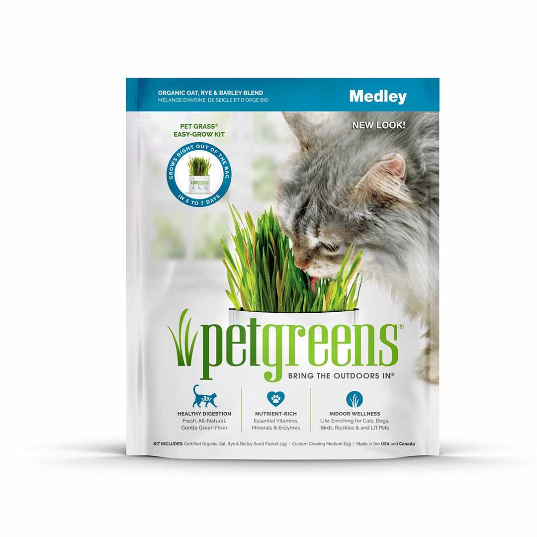 Image of Pet Greens Medley oat, rye, & Barley blend Self grow kit