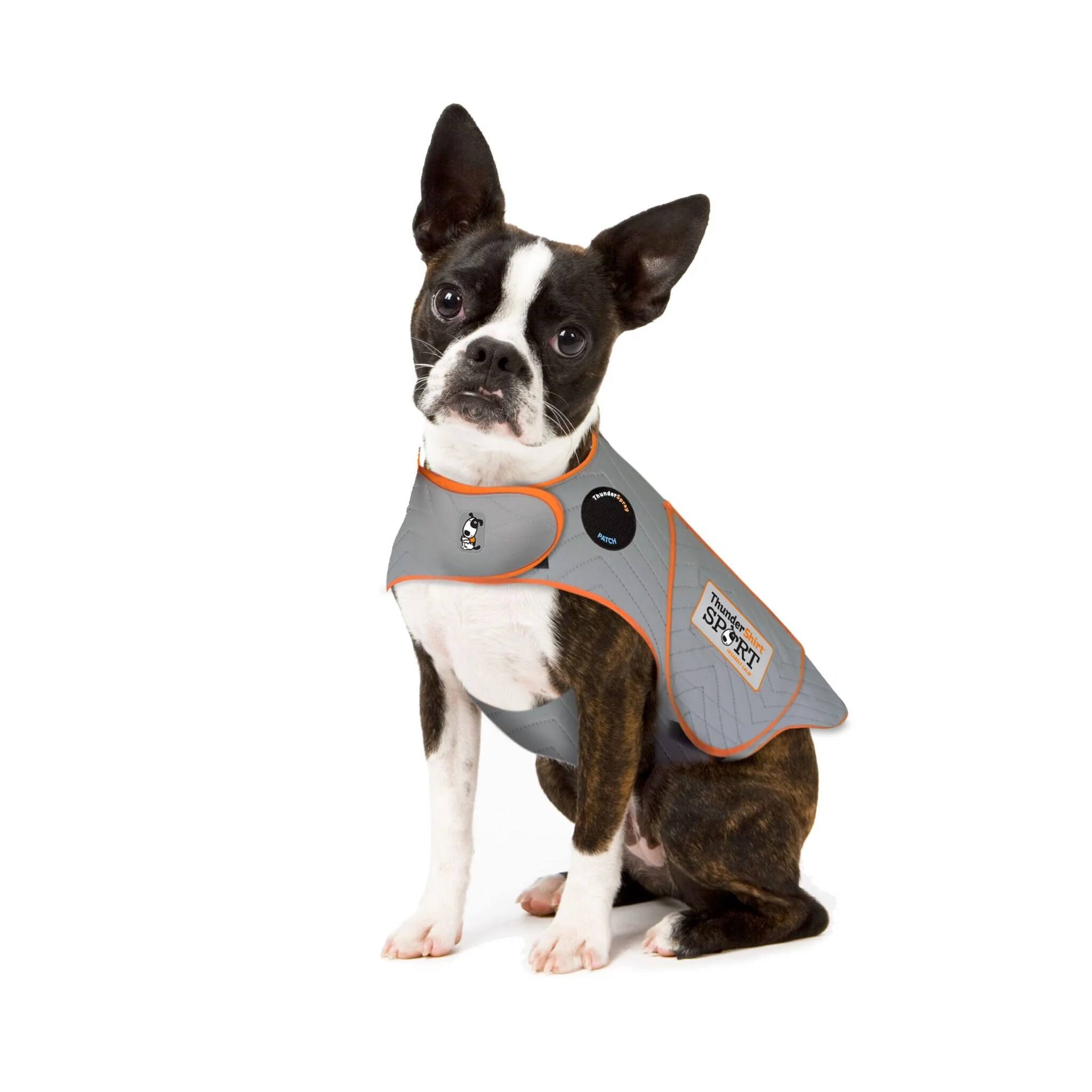 Thundershirt Sport Insanely Calm Platinum Colour X-Small