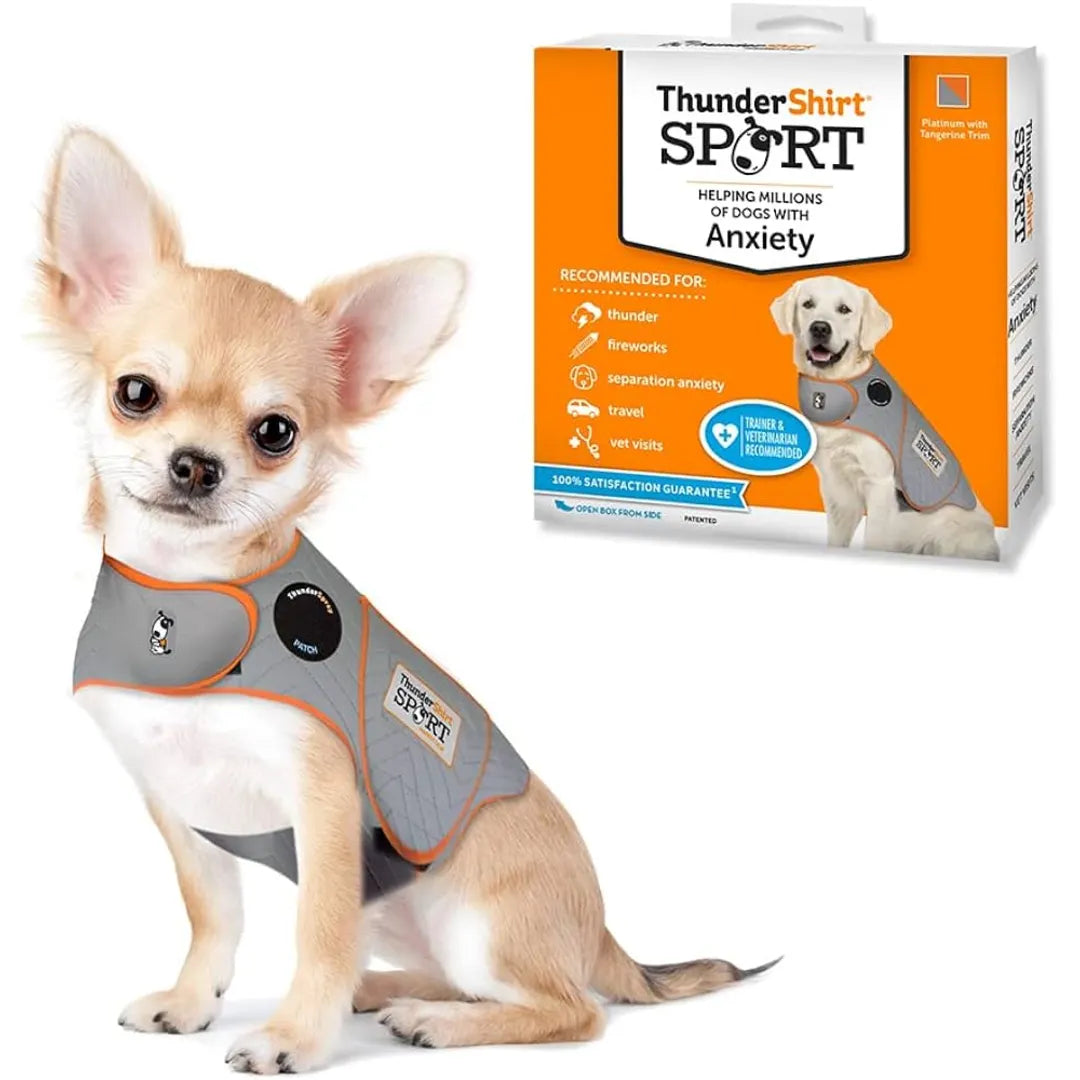 Separation anxiety jacket for 2025 dogs