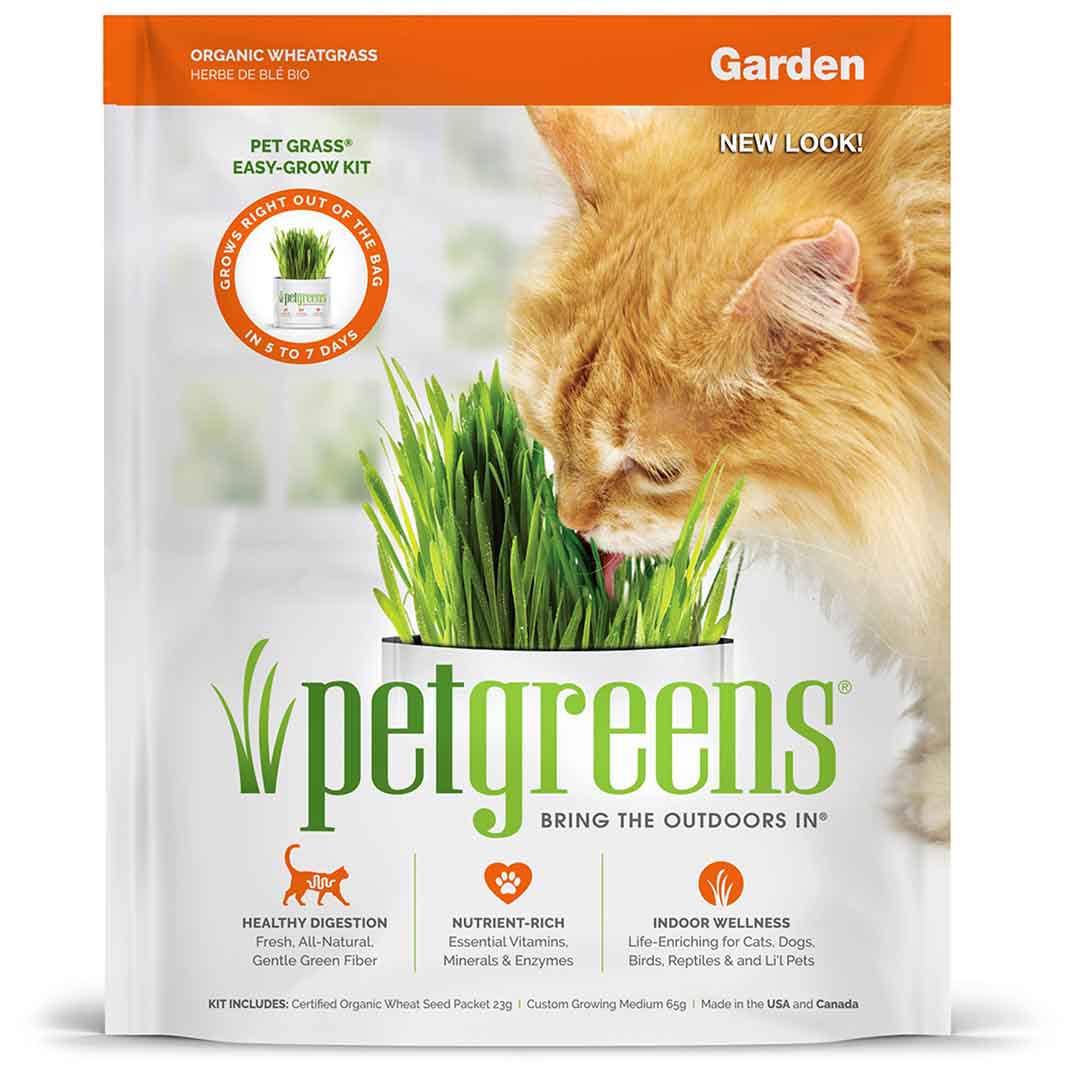 Image of Pet Greens Garden Wheat Grass Self grow kit