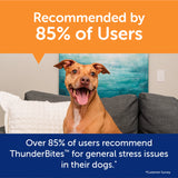 Thunderworks Thunderwunders Hemp Calming Dog Chews