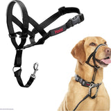 Company of Animals Halti Headcollar